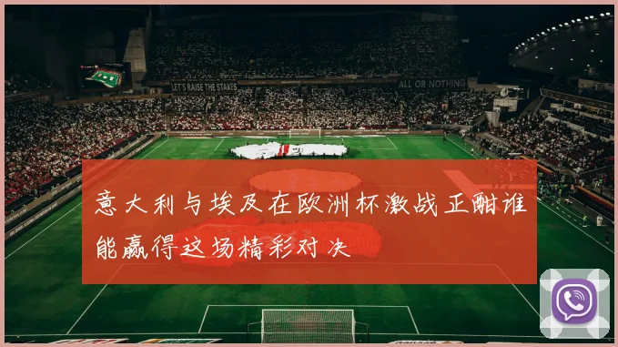 意大利与埃及在欧洲杯激战正酣谁能赢得这场精彩对决