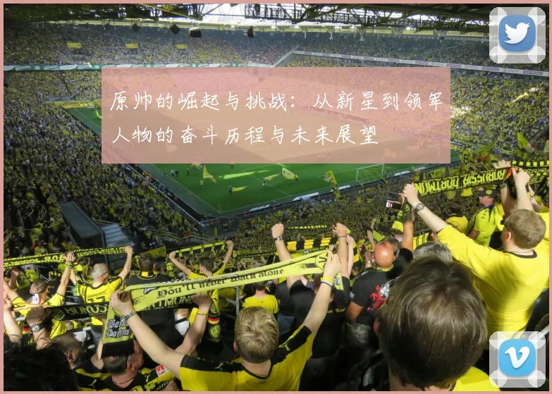 原帅的崛起与挑战：从新星到领军人物的奋斗历程与未来展望